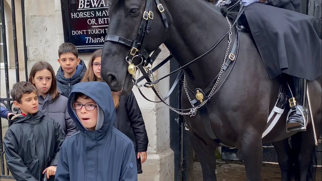 Respect the space — it’s the horse’s comfort zone 👀🐴