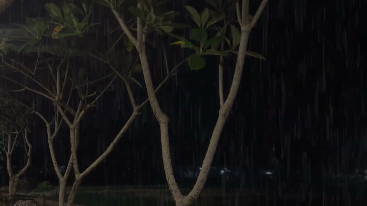 Heavy Rain on Roof  Cozy Night Rain Sounds for Sleep 🏠🌧️
