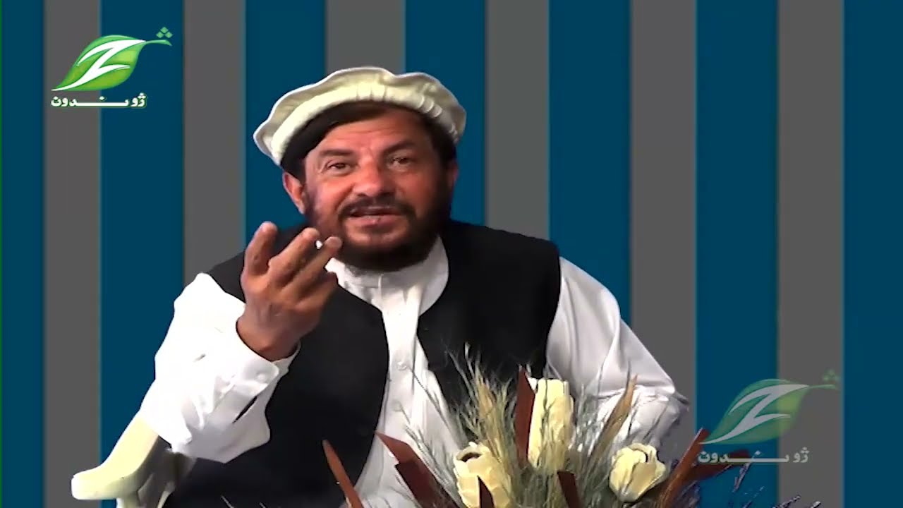 Zhwandon Milmah  19 Sep 2023|| توريالی همت د نغمې او اسامه په اړه څه وايي؟
