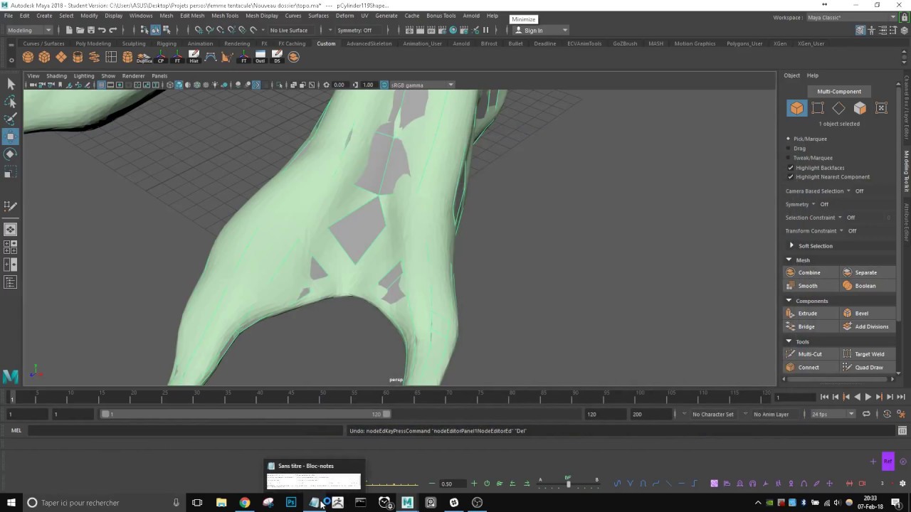 [EN-FR] If quad draw tool become slow