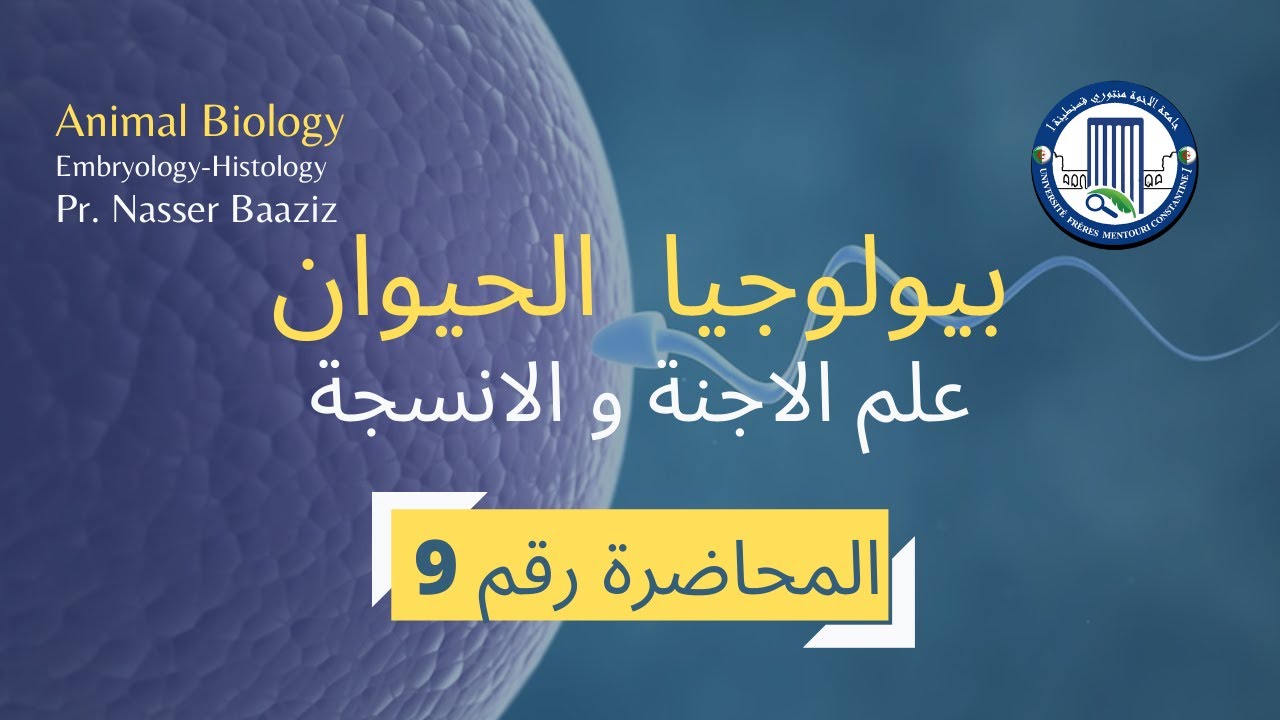 المحاضرة رقم 09 في مادة بيولوجيا الحيوان لطلبة السنة اولى ل.م.دLecture 09 in Animal Biology
