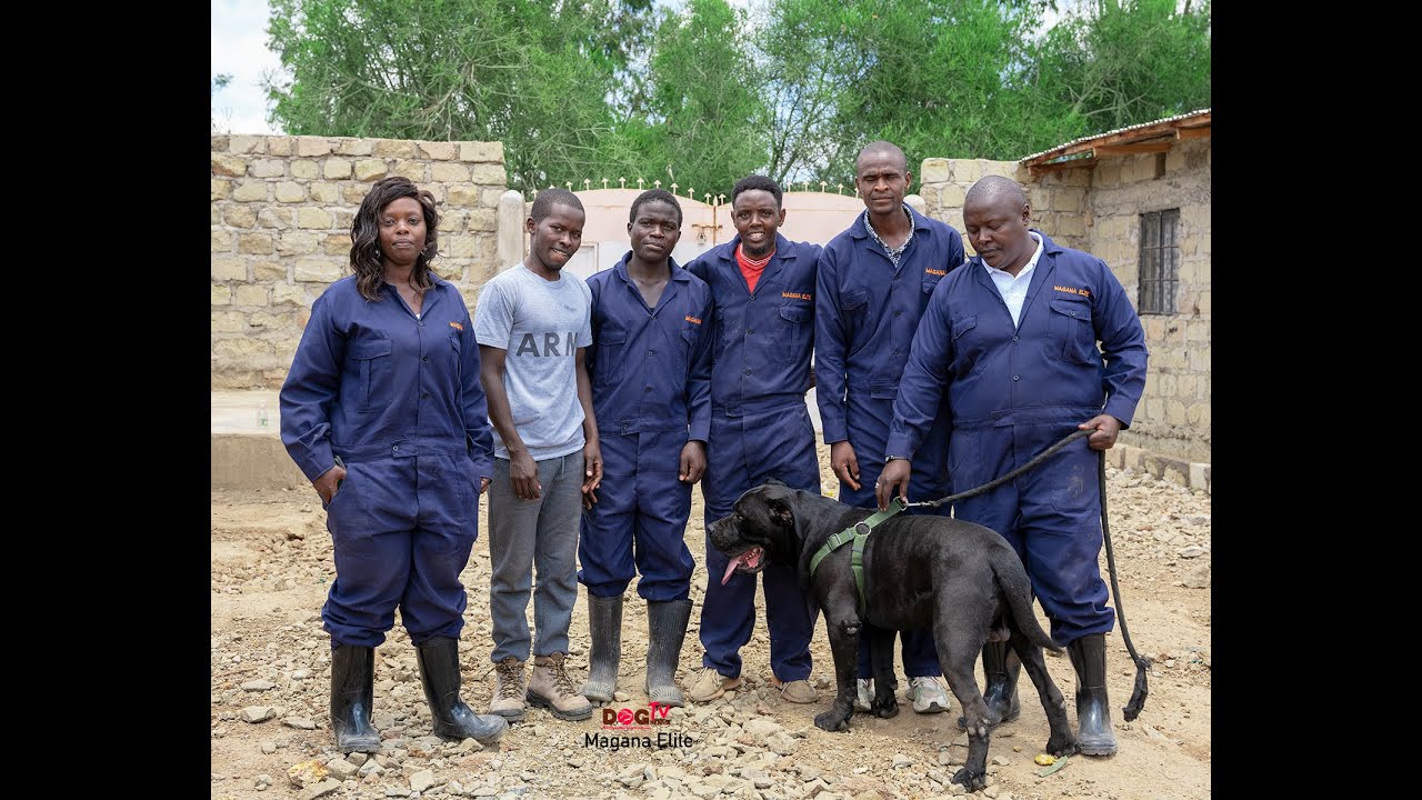 FROM BEING GIFTED ONE LARGE DOG TO OWNING A PARK AT MAGANA ELITE(DOG TV KENYA EPISODE 53)