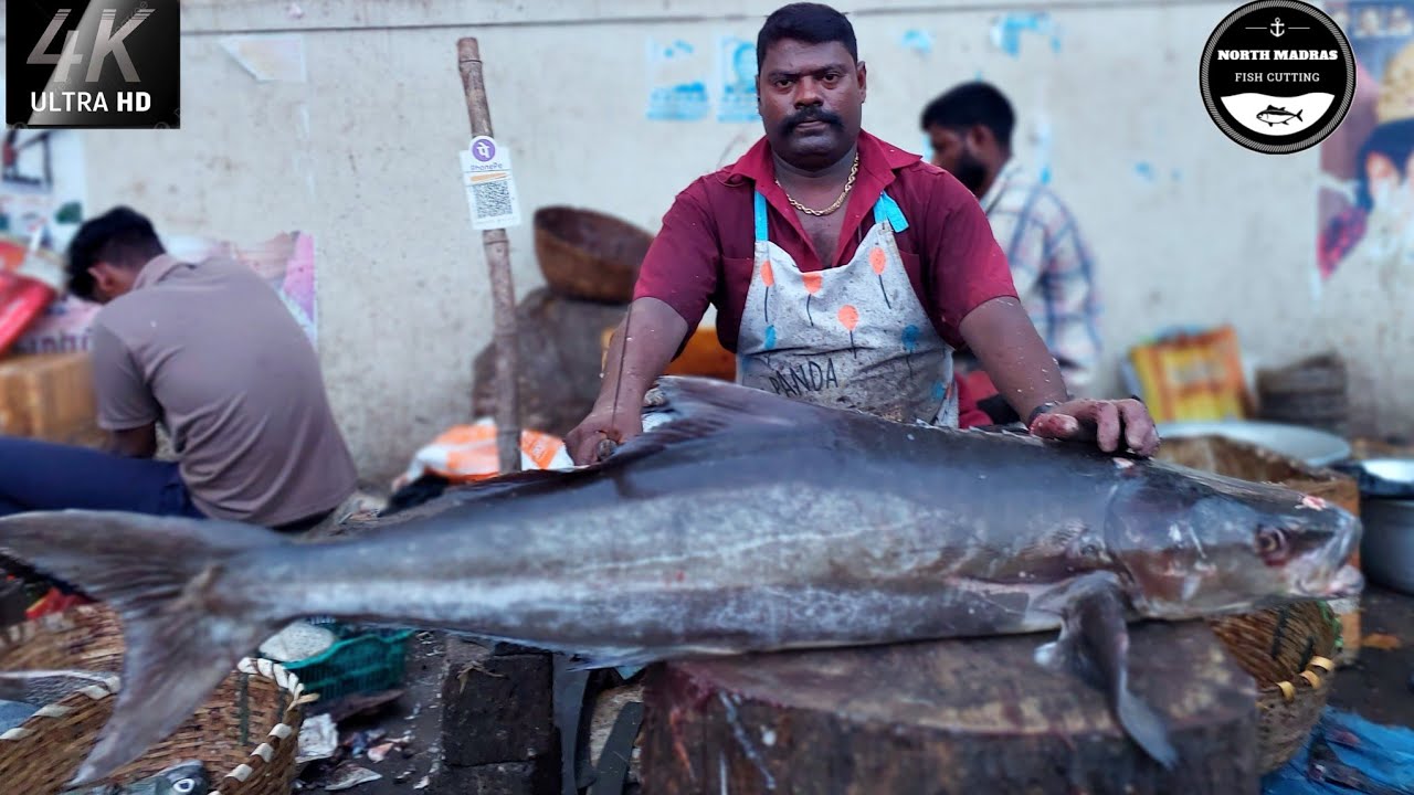 🔥🤯$95 |BIG KADAL VIRAL MEEN|KASIMEDU SPEED SELVAM FISH CUTTING SKILLS #kasimedu #selvamfastcutting