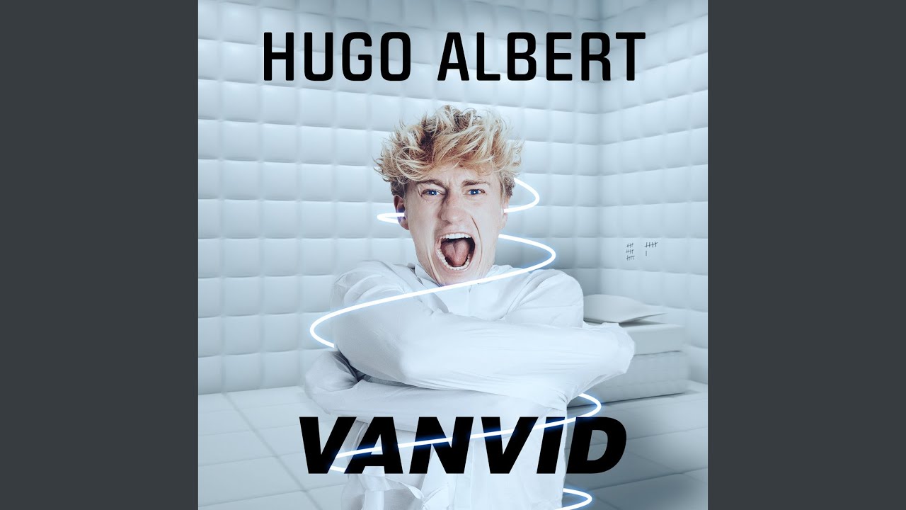 Vanvid
