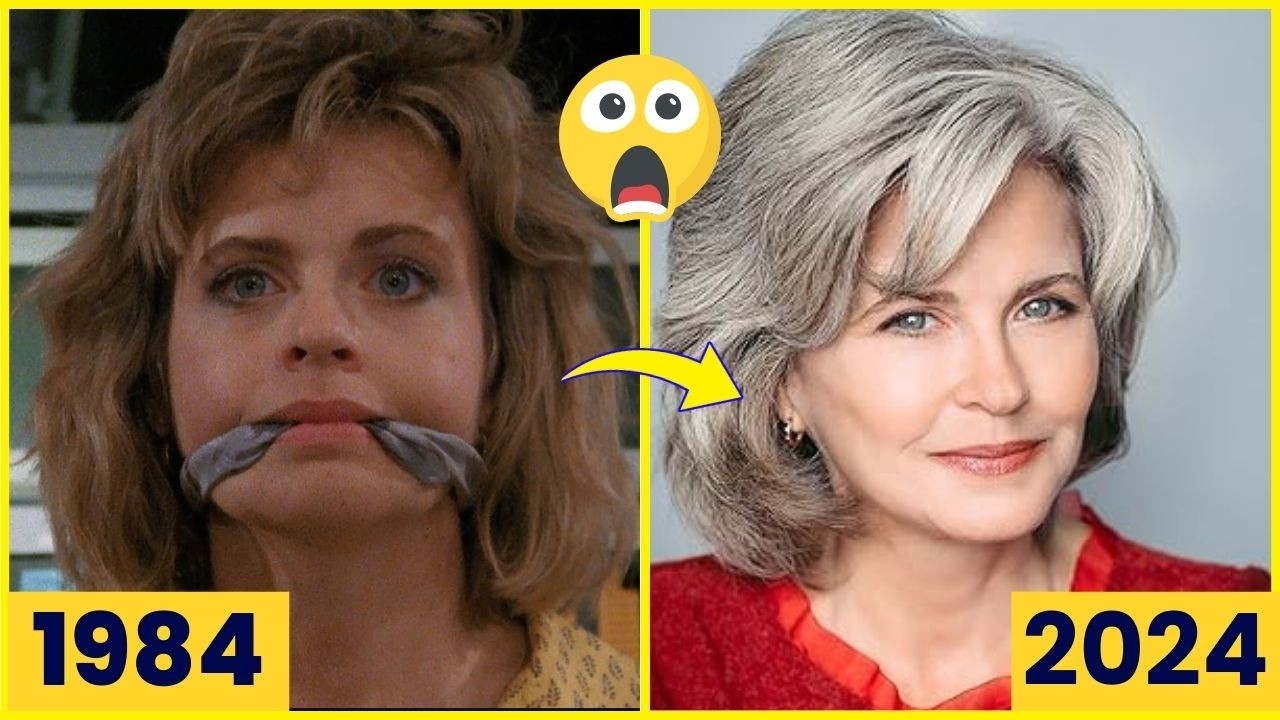 Airwolf 1984 Cast Then and Now 2024 Unbelievable Transformations
