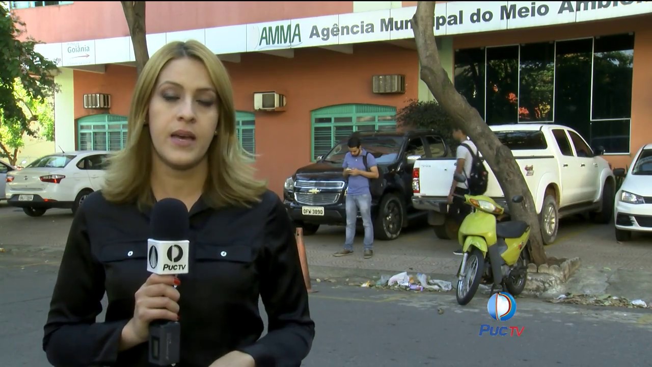Telefone verde para denúncias da AMMA volta a funcionar
