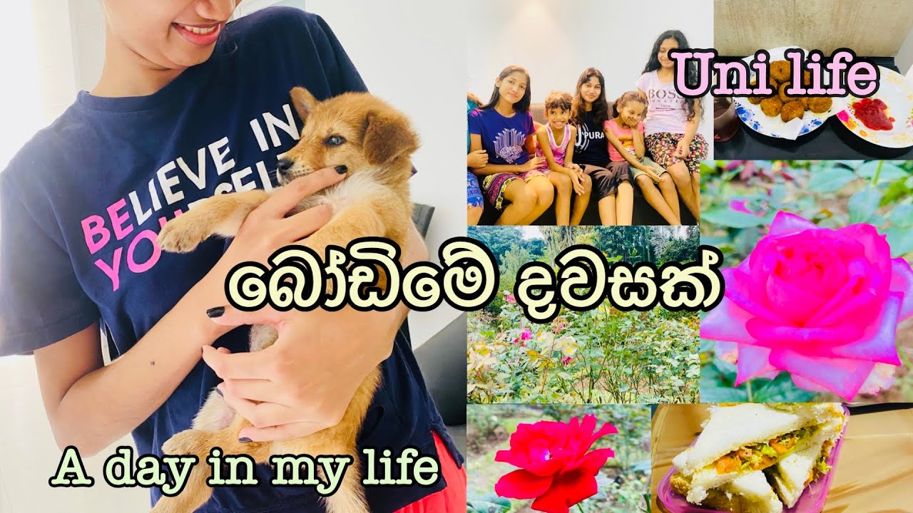 බෝඩිමේ දවසක් | A day in my uni life |University of Peradeniya | hostel life #hostellife #sinhala