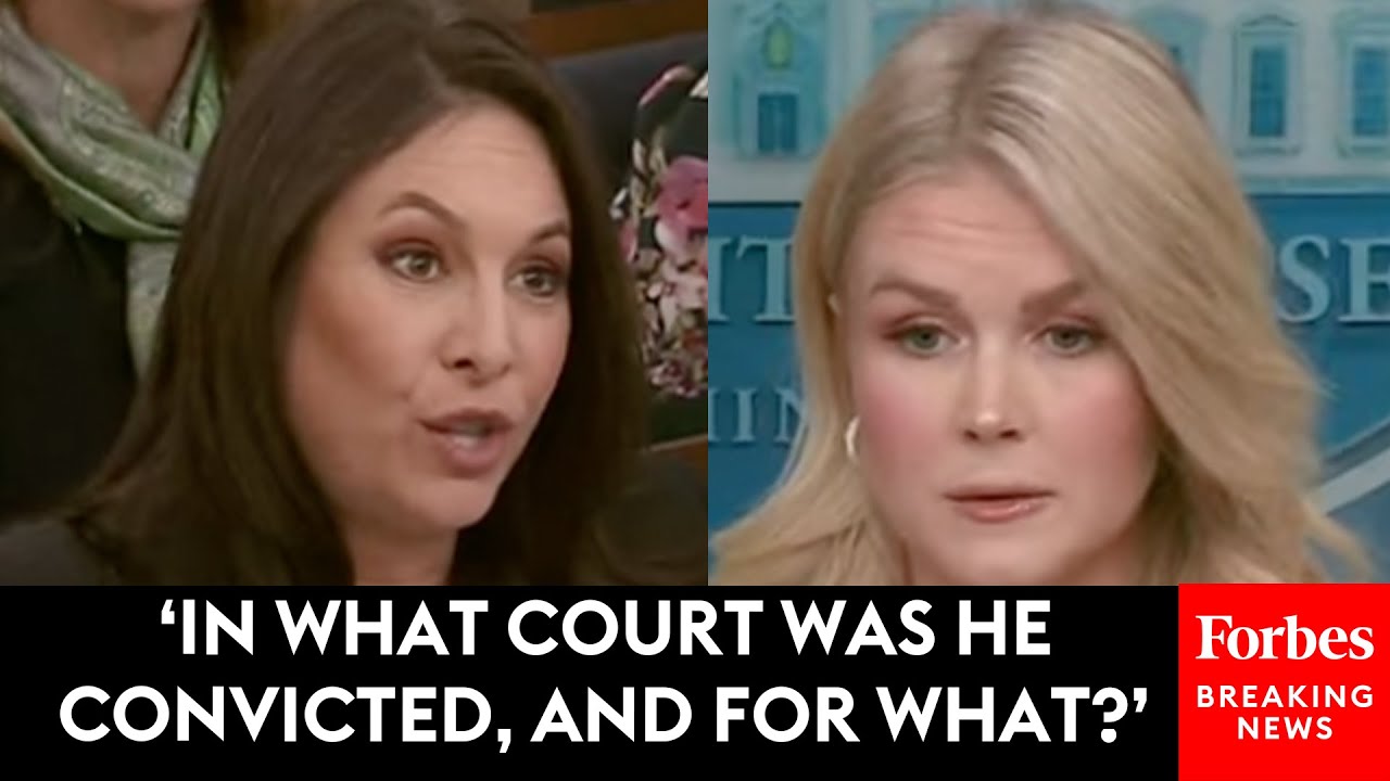 Leavitt Grilled On An Accused MS-13 Gang Member's Deportation Case: 'You Said You'd Seen Evidence'