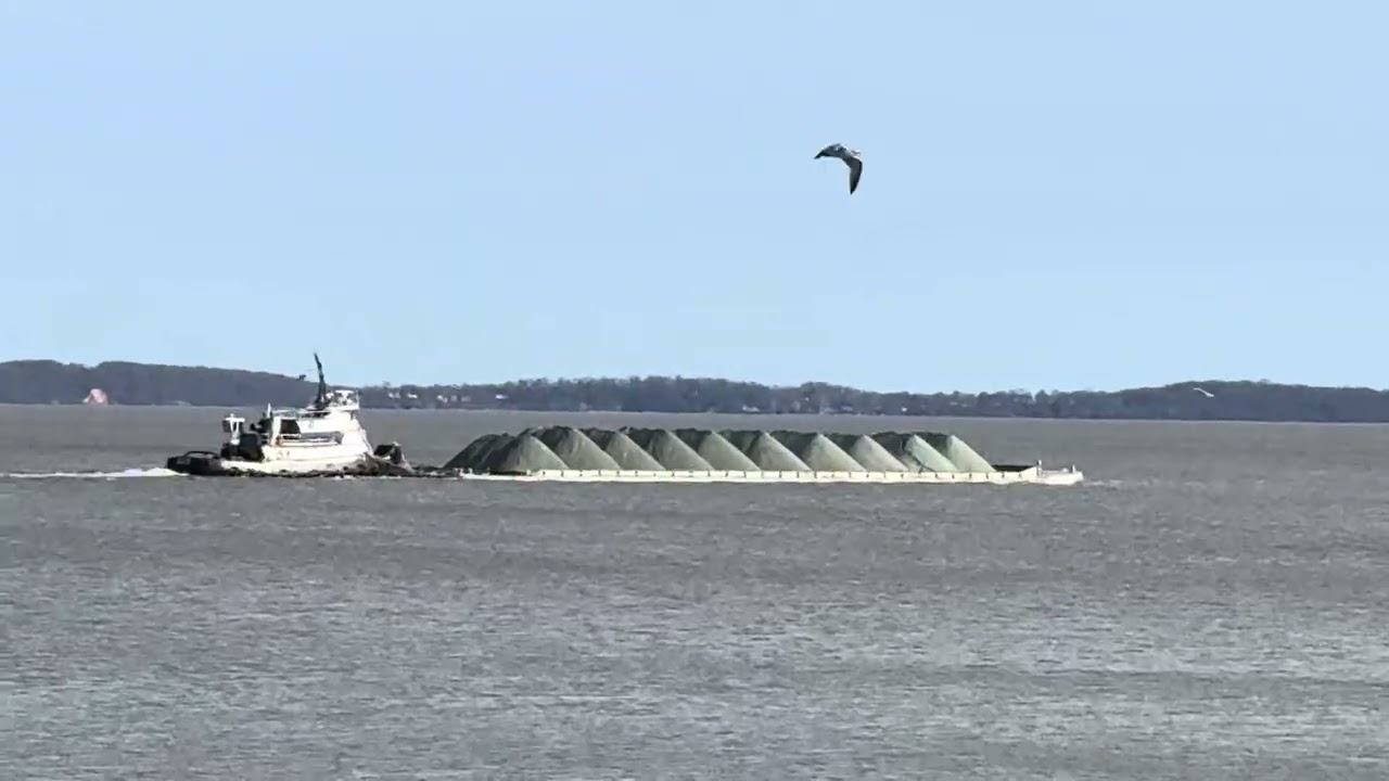 Good View of Chesapeake Life