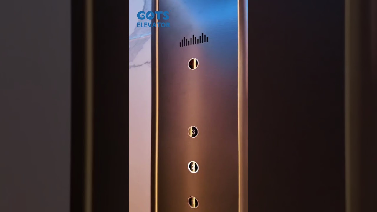 GOTS Elevator - Redefining Luxury with Premium Villa Elevators 