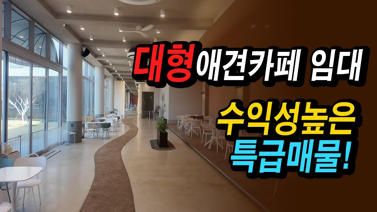 청주대형애견카페임대 마당이 넓은 청주애견호텔,애견유치원 외각매물