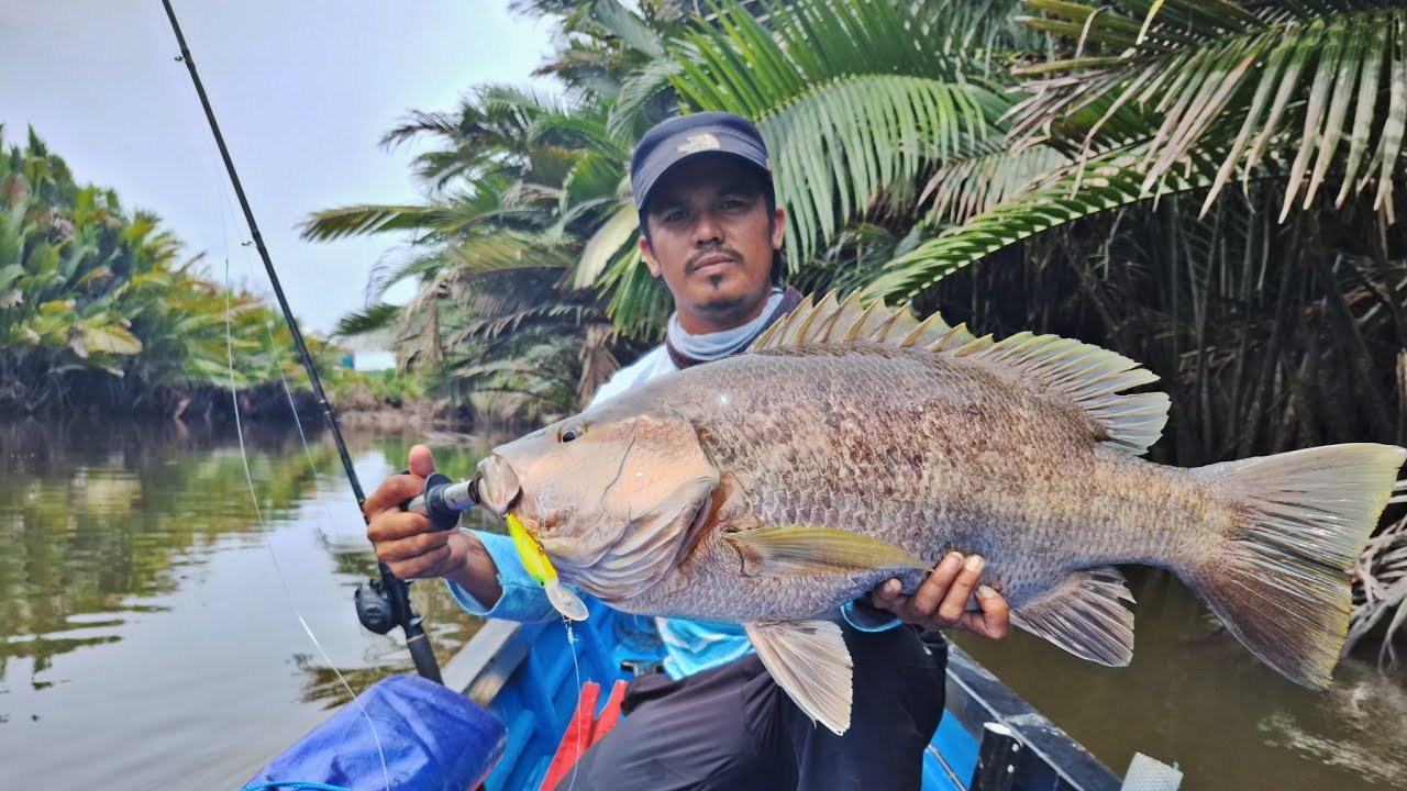 PART 1 | FISHING CAMP MENCARI MONSTER BLACKBASS KALIMANTAN UTARA !!!