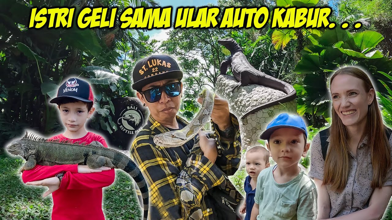 LIAT SEMUA BINATANG MELATA ADA ULAR KING COBRA DAN BUAYA NGERI!!