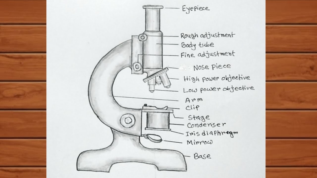 Microscope Drawing Easy / How to Draw Compound Microscope Easily