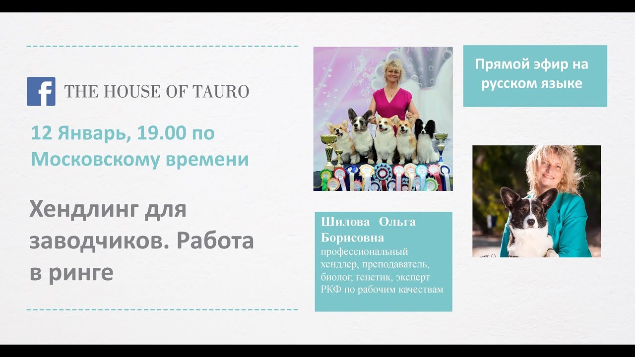 Разговор c Ольгой Борисовной Шиловой:  Хендлинг для заводчиков  Работа в ринге