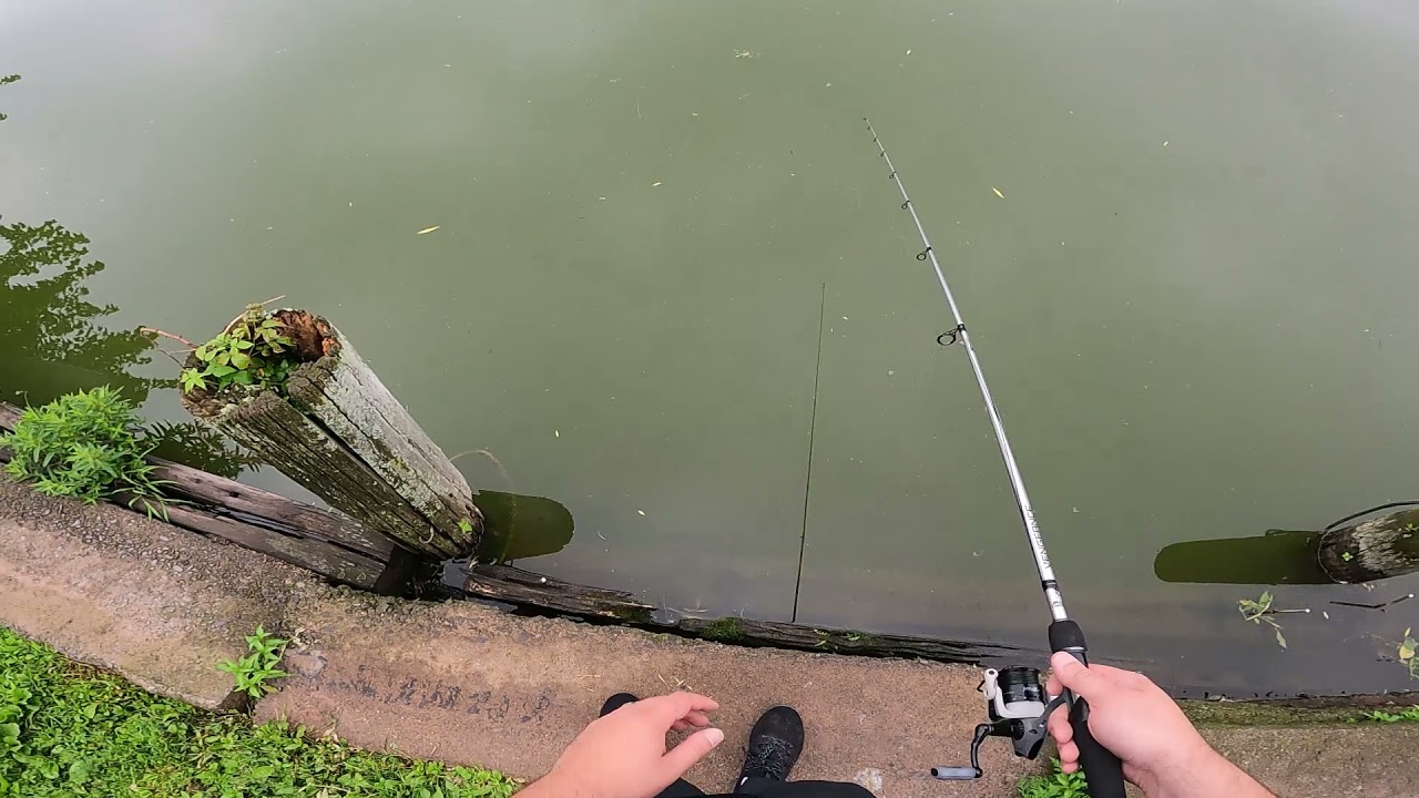 upstate ny fishing