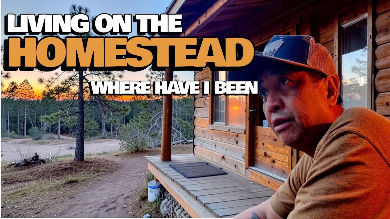 Homestead Living Update - Off Grid Gumbie