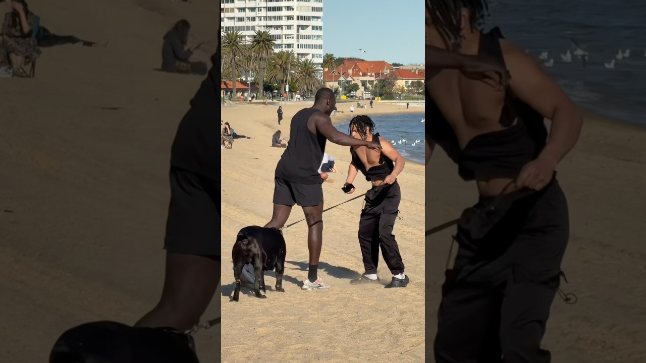 Розыгрыш с обменом собаками 😭 