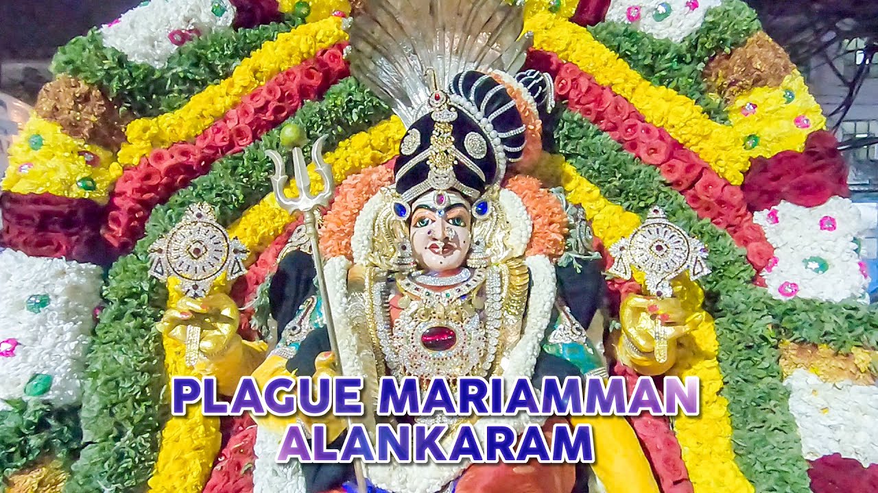 #TTV797 | Plague Mariamman Special Alankaram | Bannergatta Jatre | Nehru puram | Shivajinagar