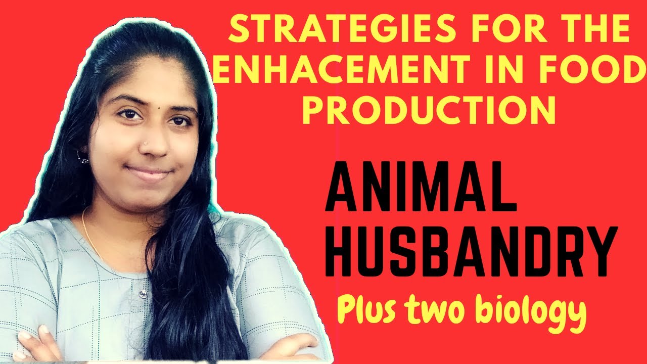 Strategies for Enhancement in Food Production in Malayalam|Animal Husbandry|Plus two botany| Part-1