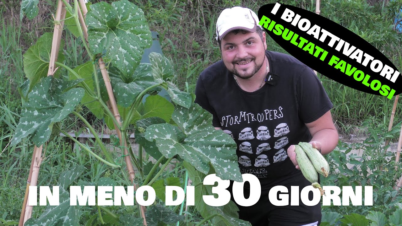 I BIOATTIVATORI - ORTO CRESCIUTO IN MENO DI UN MESE