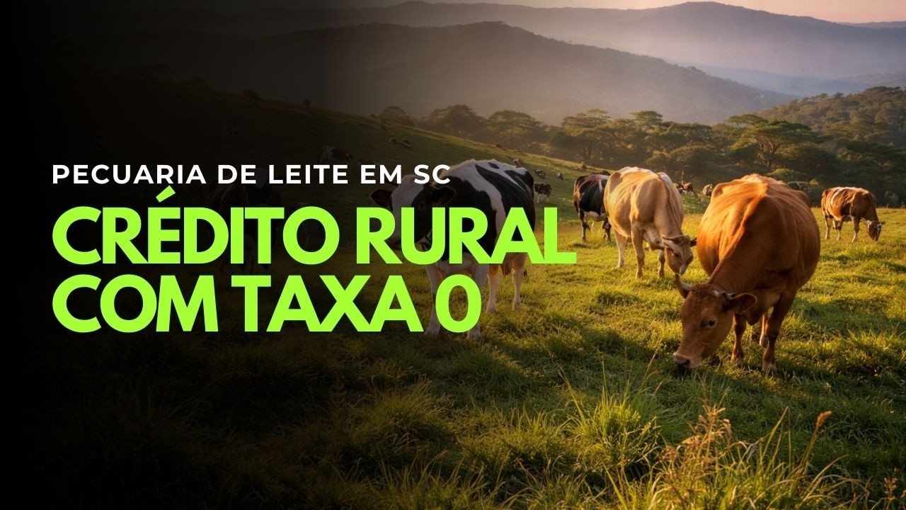 CRÉDITO RURAL COM JUROS ZERO PARA PECUÁRIA LEITEIRA - PRONAMPE LEITE CUSTEIO/BRDE