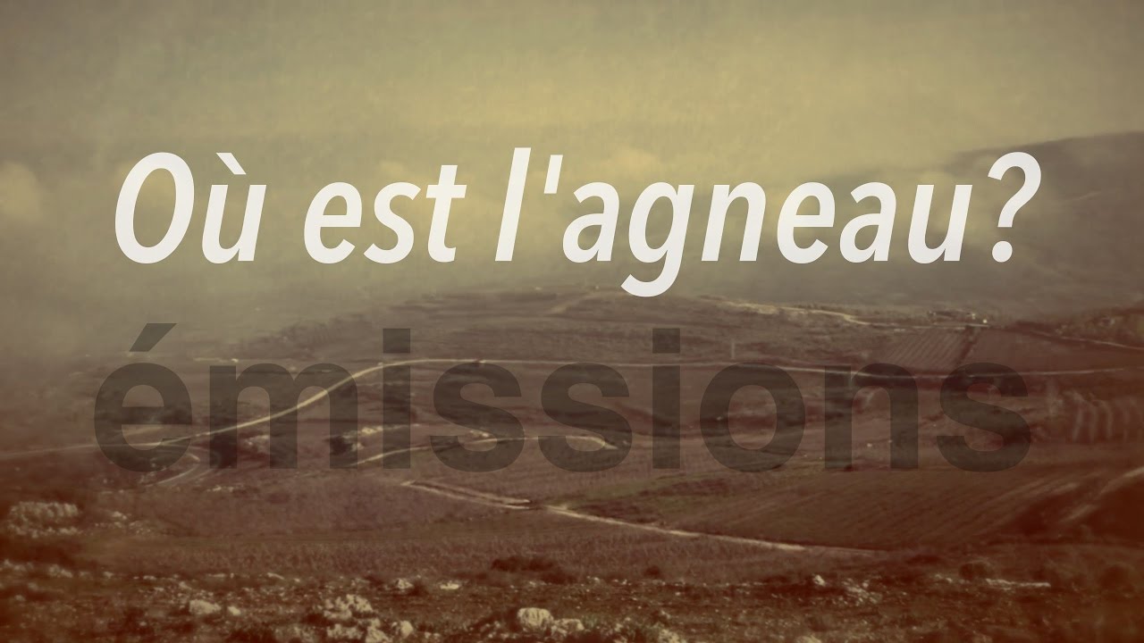 Où est l'agneau?