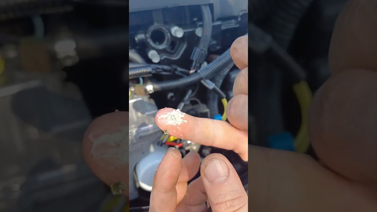 2019 model 50 hp mercury efi genel bakım temizlik tanitim