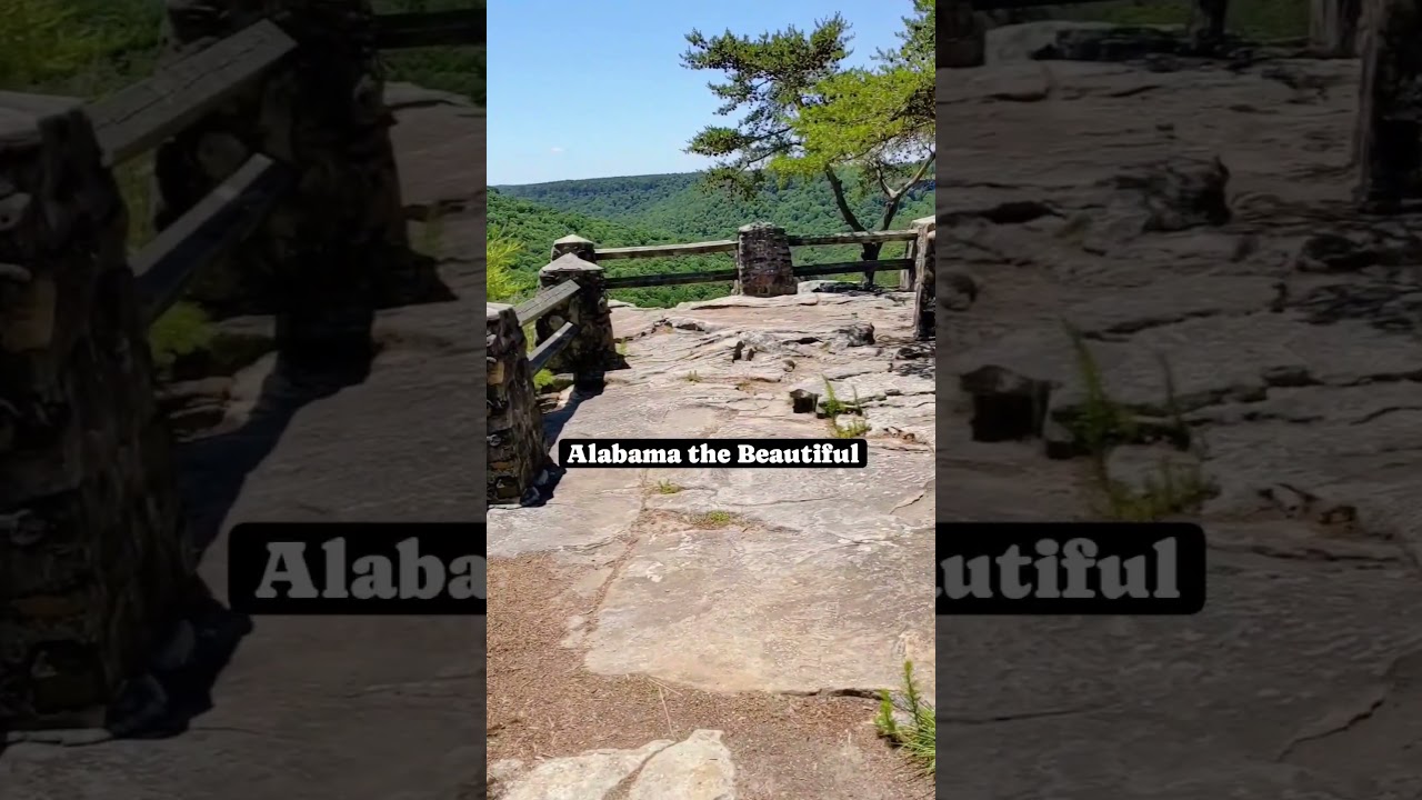 I found WHAT in Alabama?? #alabama #nature #alabamathebeautiful #naturalattractions