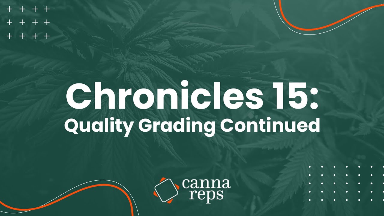 Quality Grading Episode Continued | How Sommeliers grade cannabis | CHRONICLES 15