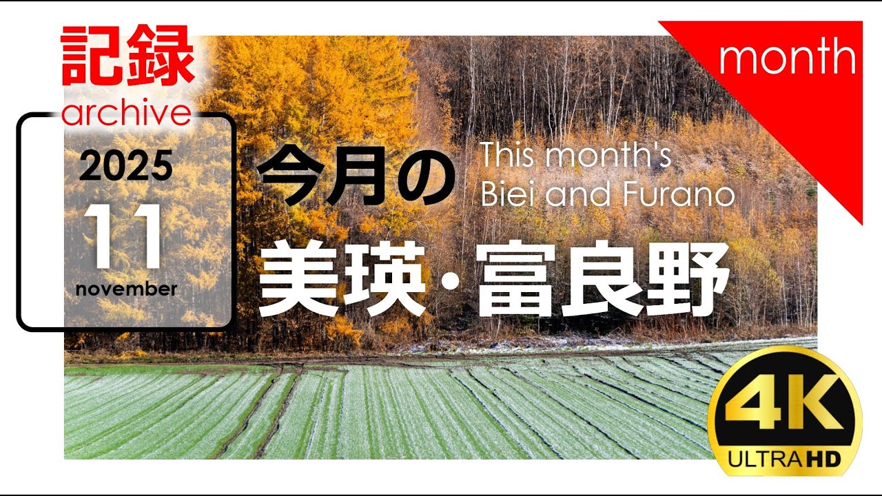 【11月の美瑛・富良野】晩秋から冬へ｜タイムラプス・空撮・車載カメラ