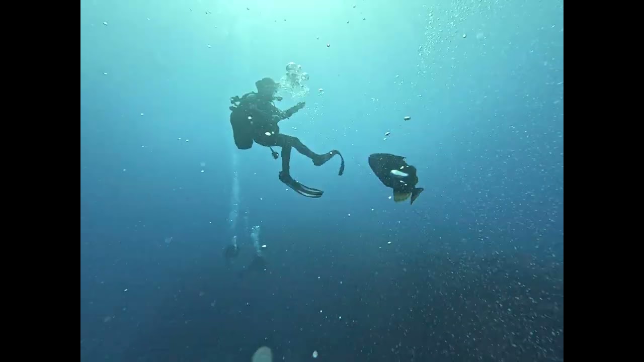 attaque d'un baliste titan