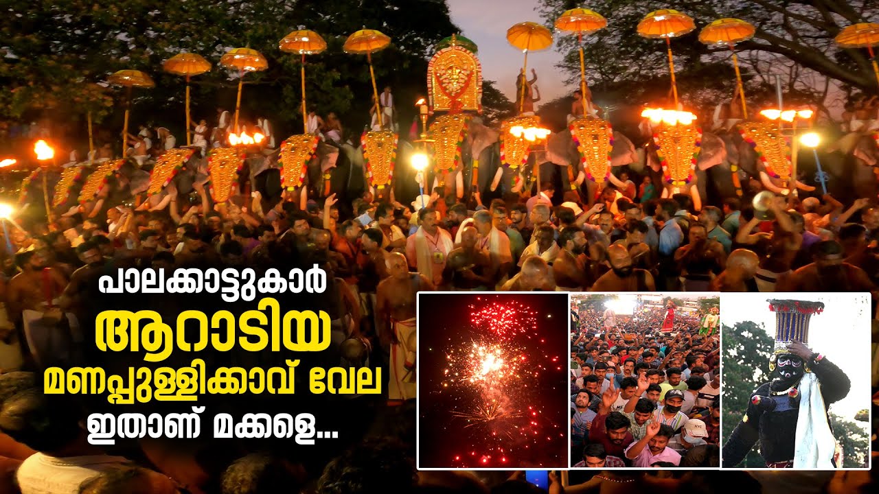 പാലക്കാട്ടുകാർ ആറാടിയ മണപ്പുള്ളിക്കാവ് വേല ഇതാണ് മക്കളെ... | Manapullikavu vela palakkad | palakkad