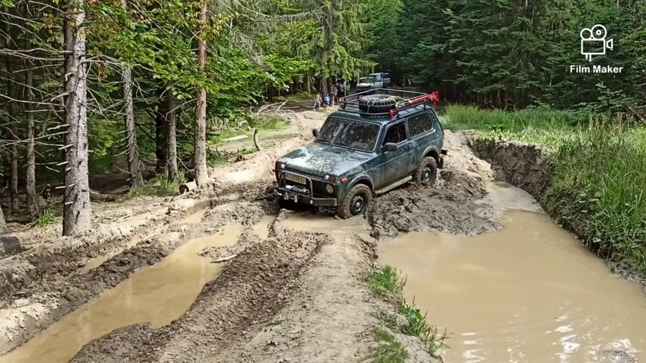 Карпати...