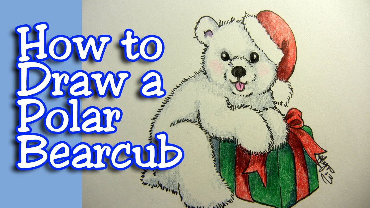 How to draw a polar bearcub