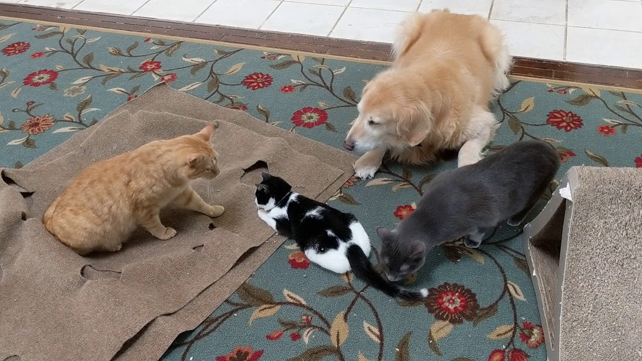 Cooper and Faculty