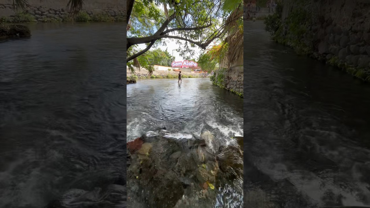 La Tarjea un para&iacute;so en Cuautla Morelos !