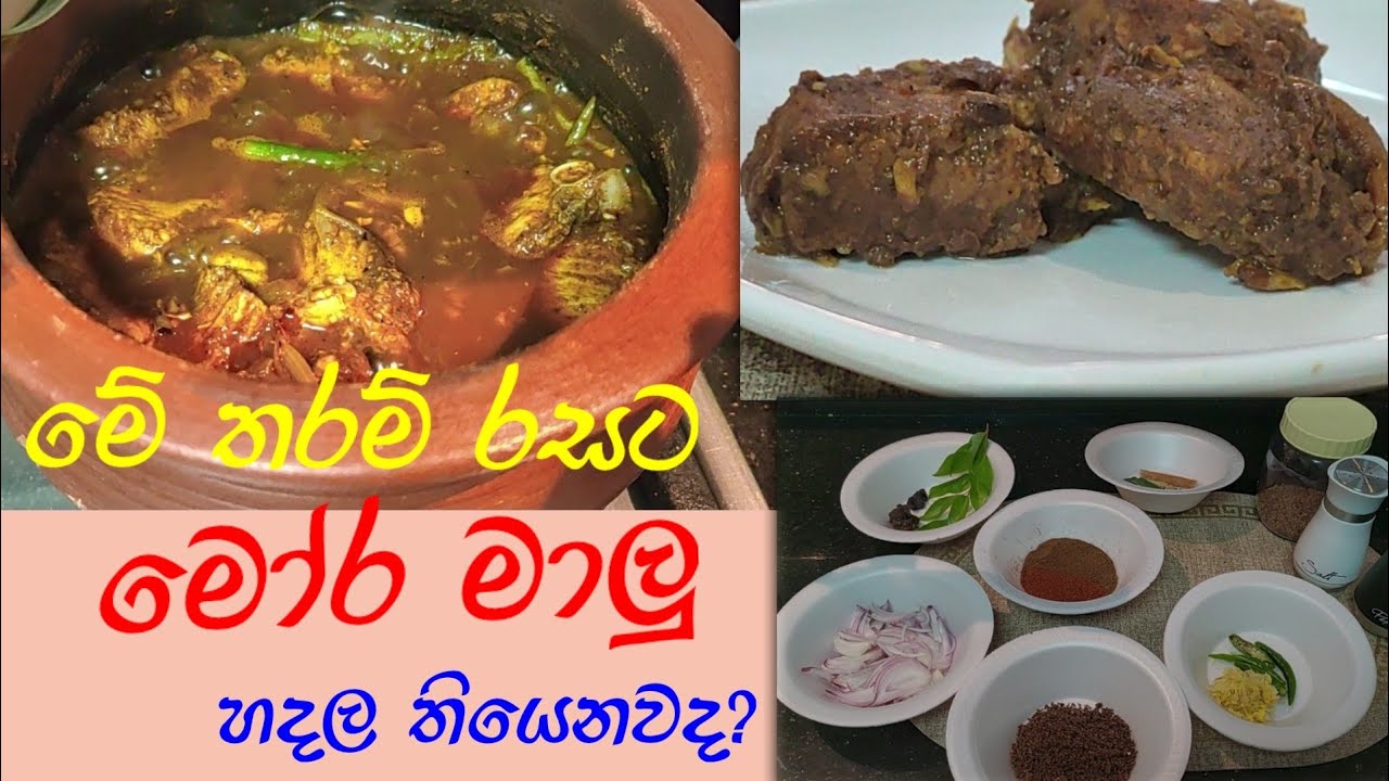 මෝර මාලු කරියක් රසට හදමු | How to make mora malu curry | Shark fish curry