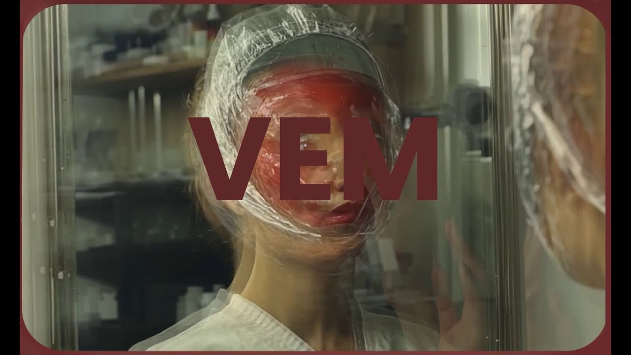 Vem