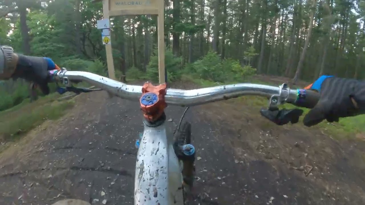 Vom Trailpark direkt in den Baum – MTB-Harztrip eskaliert!