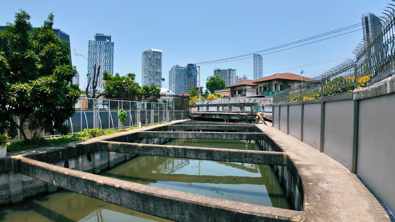 Random Walk in Bangkok