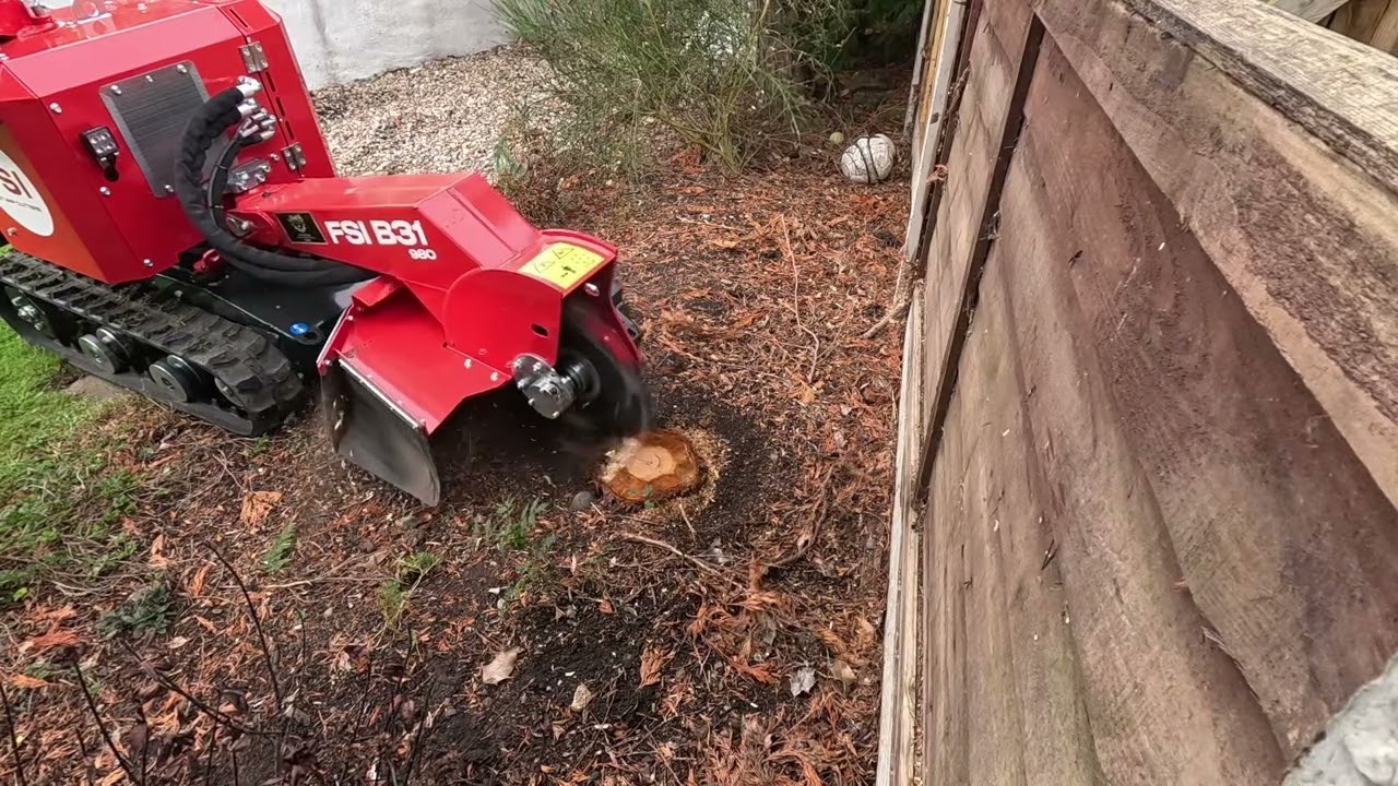 Testing The New FSI B31 Stump Grinder