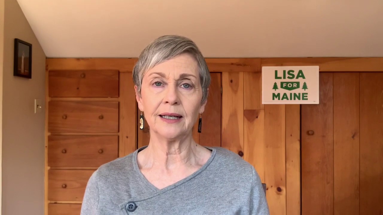 Lisa for Maine: You Are Not Alone - #PeoplesBailout
