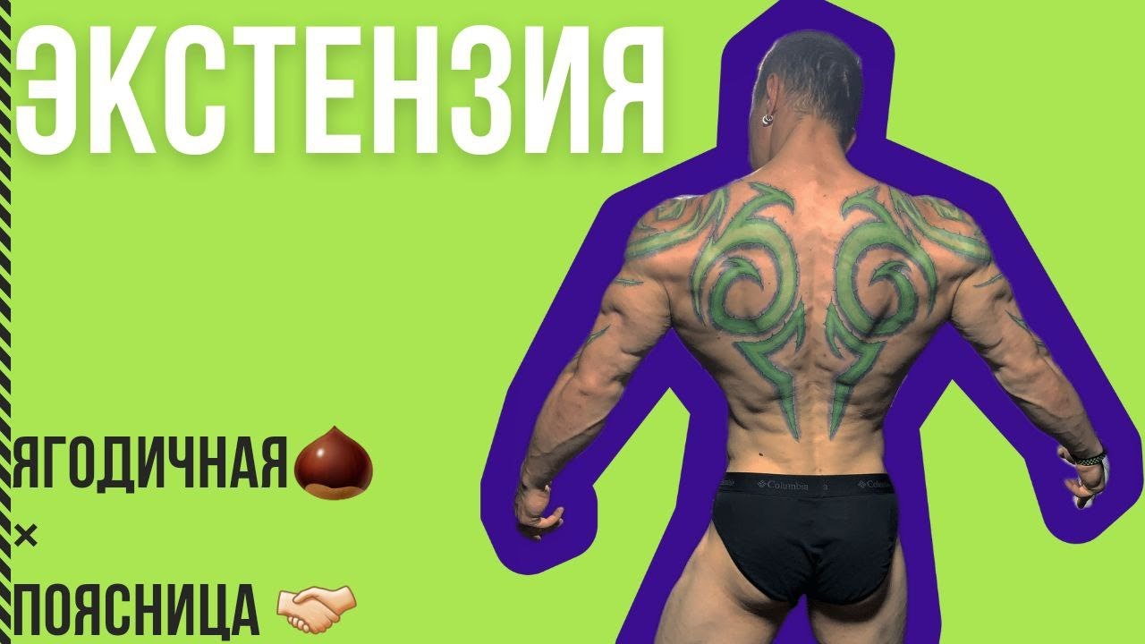 Экстензия