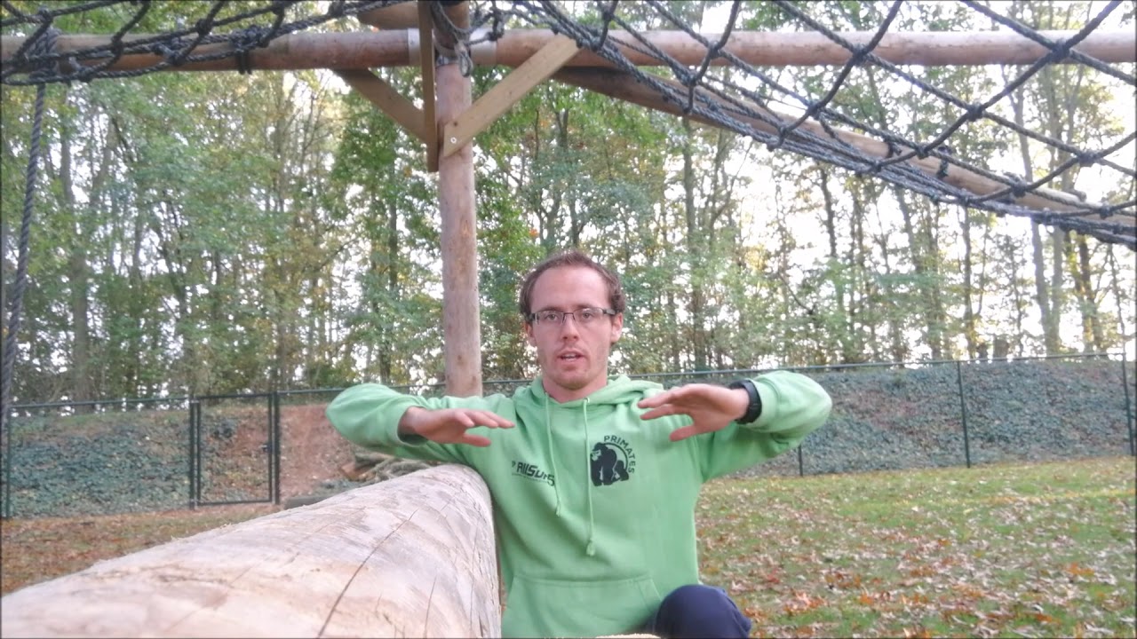 Survivalrun Tutorial Kracht 001 Swing-ups