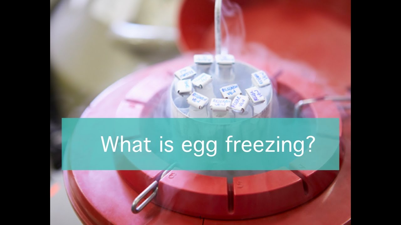What is egg freezing?