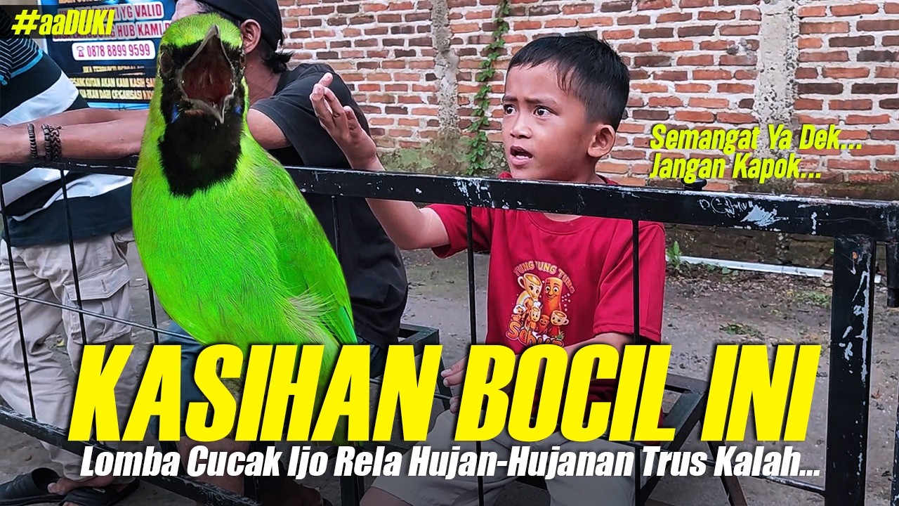 KASIHAN BOCIL INI