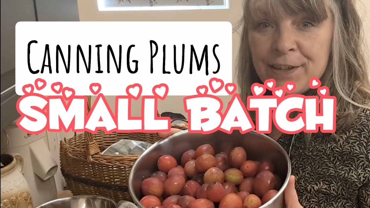 Steam Canning Plums INSTANT Pot, EASY Preserving 