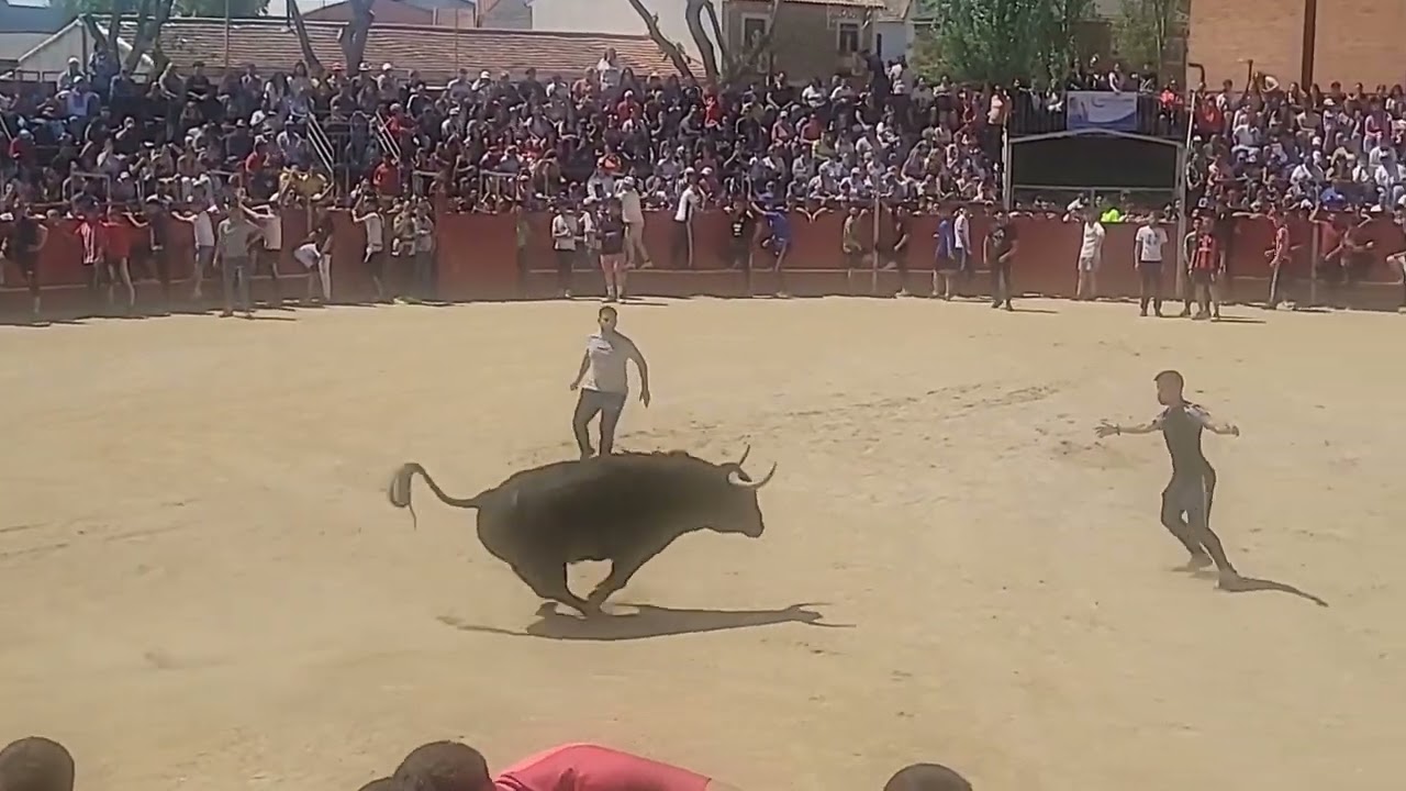 Encierro de San Martín de la Vega 2025 (26 de Abril)