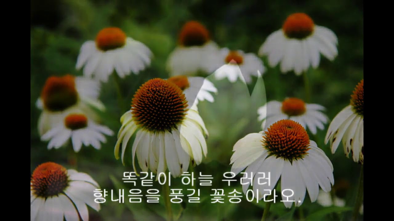 송가